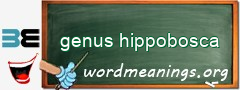 WordMeaning blackboard for genus hippobosca